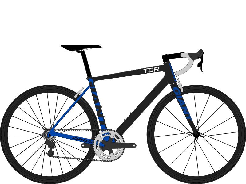 giant tcr models by year